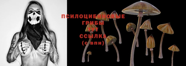 спайс Алзамай