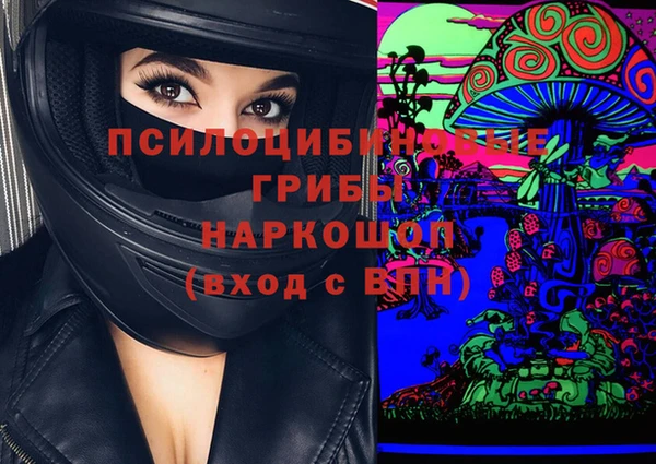спайс Алзамай