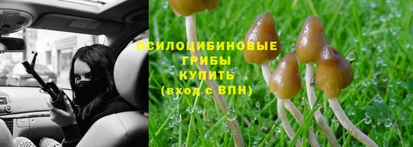 амф Алексеевка