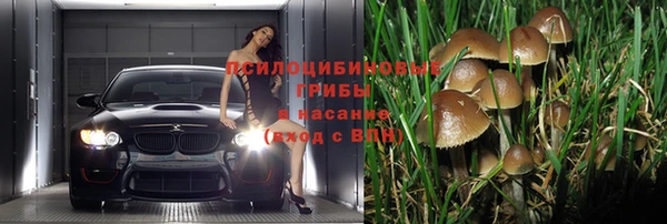 спайс Алзамай