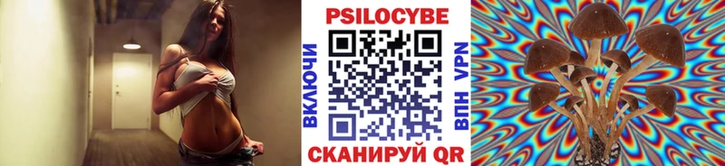 Галлюциногенные грибы Cubensis  Богородск 